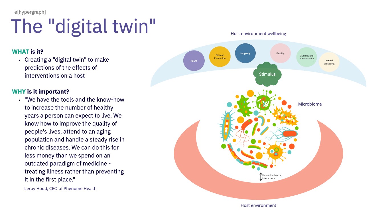 The digital twin