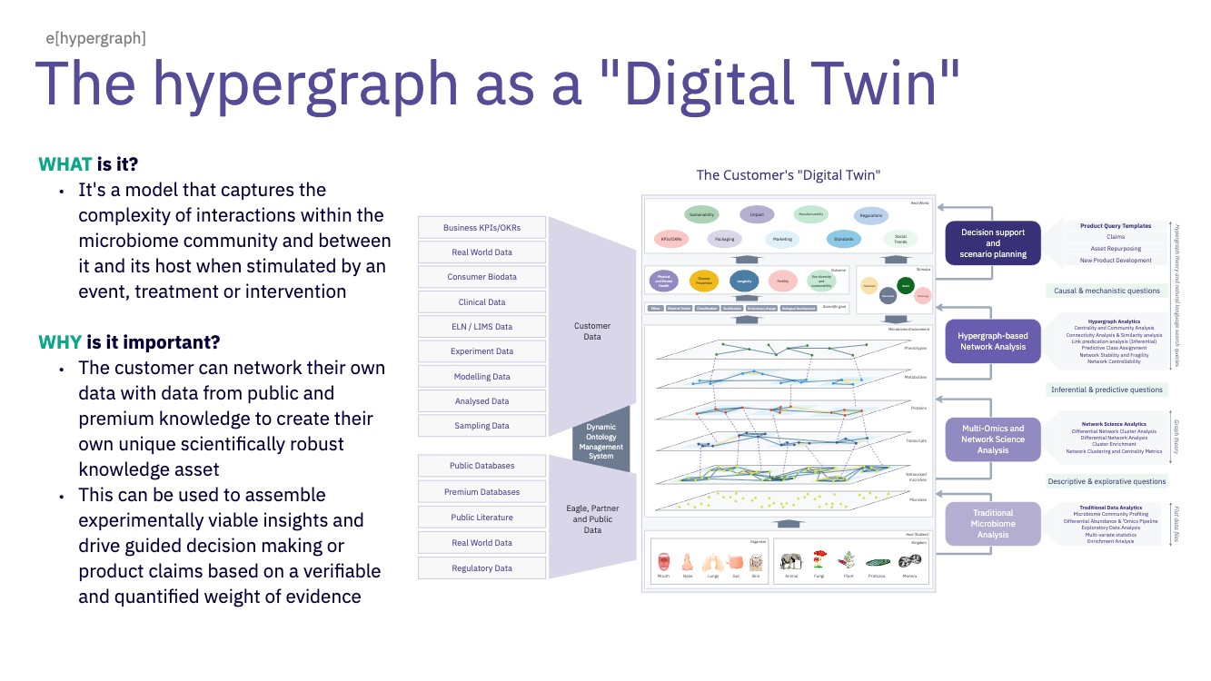 The hypergraph as a Digital Twin
